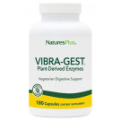 VIBRA-GEST