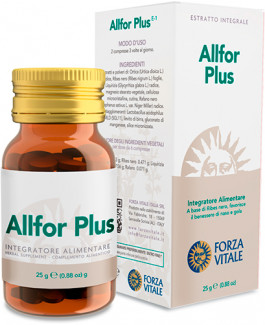 Allfor-Plus