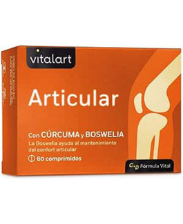 Articular