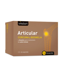 Articular Vitalart