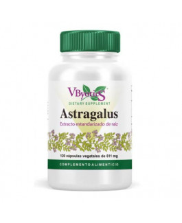 Astragalus de VByotics