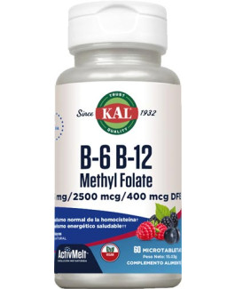 B-6, B-12 Methyl Folate