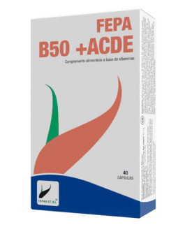 B50 +ACDE