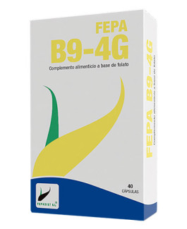 B9-4G (Quatrefolic)