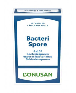 Bacteri Spore