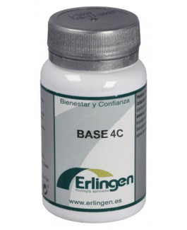 Base 4 C Erlingen