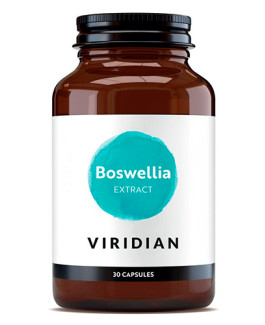 Boswellia Resina Extracto Estandarizado