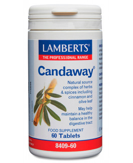 Candaway Lamberts