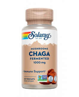 Chaga de Solaray