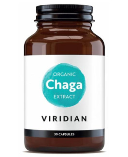 Chaga Orgánico Extracto