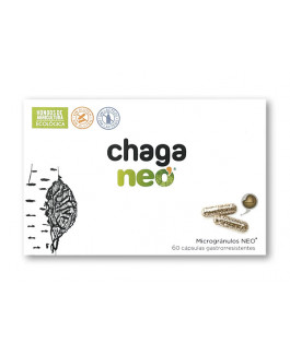 Chaga