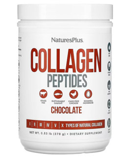 Collagen Peptides Chocolate