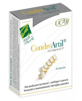 CondroArtil (con Colágeno UC-II)
