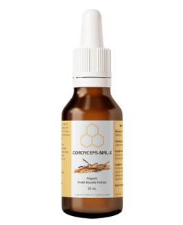 Cordyceps-MRL-X (Tintura)
