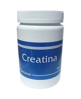 Creatina
