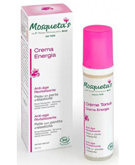Crema Antienvejecimiento Energia Bio Italchile