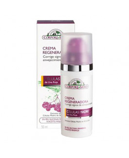 Crema Hidratante Regeneradora Células Madre