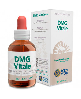 DMG Vitale1