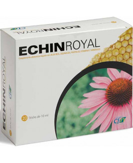 Echin Royal de CFN