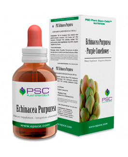 Equinácea purpurea PSC