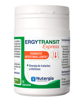 ERGYTRANSIT Express