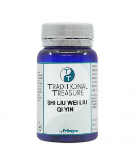 Shi Liu Wei Liu Qi Yin