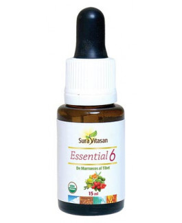 Essential 6