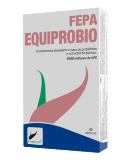 Equiprobio