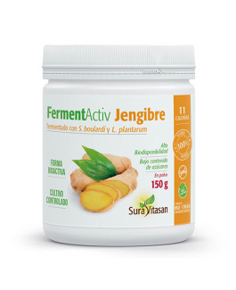 FermentActiv Jengibre