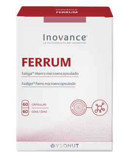 Ferrum Inovance
