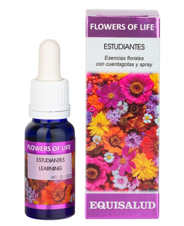 Flowers of Life Estudiantes