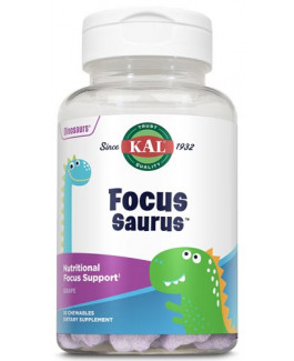 Focus Saurus