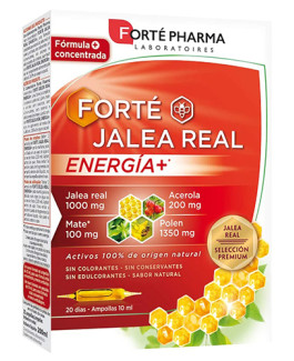 Forté Jalea Real Energía