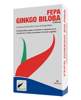 Ginkgo biloba