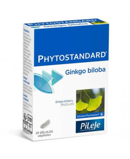 Ginkgo Biloba