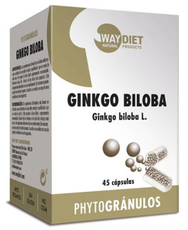 Ginkgo Biloba