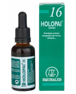 Holopai 16