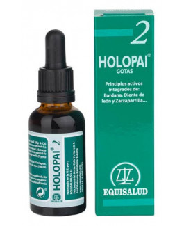 Holopai 2