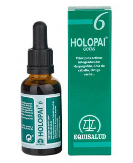 Holopai 6