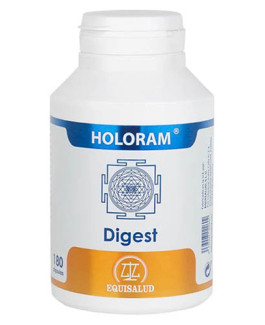 HoloRam Digest