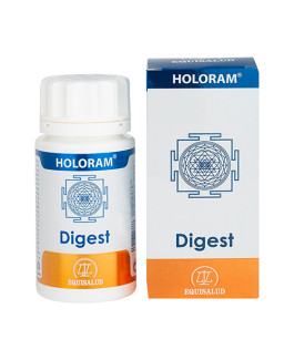 HoloRam Digest