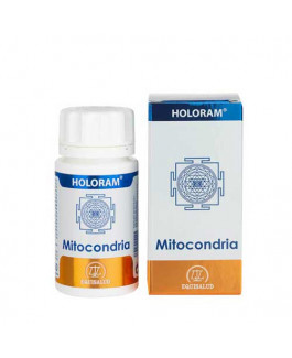Holoram Mitocondria Equisalud
