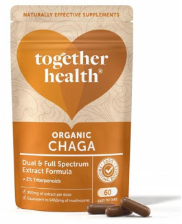 Hongo Chaga Orgánico