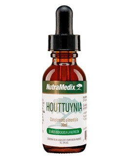 Houttuynia