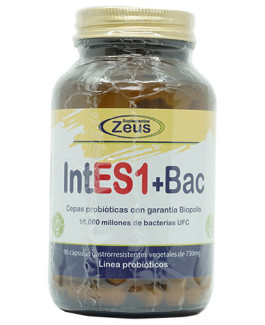IntES1+Bac ZEUS