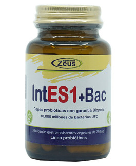 IntES1+Bac ZEUS