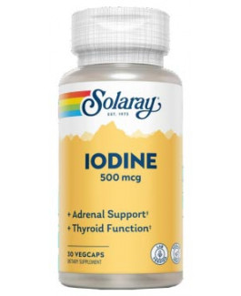 Iodine 500 mcg
