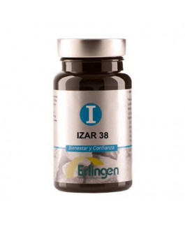 Izar 38 Erlingen
