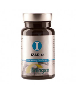 Izar 41 Erlingen 