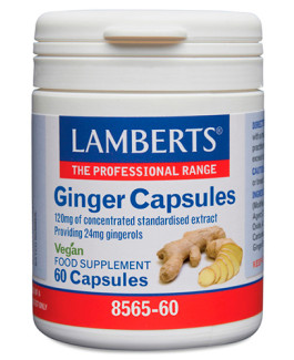 Jengibre Lamberts